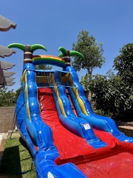 IMG 2283203 1755299832 Palm Tree Waterslide