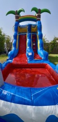 IMG 2302203 1755299834 Palm Tree Waterslide