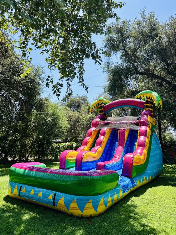 Waterslides (Slides & Bounce House Combos)